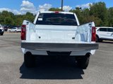 New 2025 Ford F150 Tremor image 6