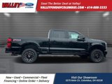 New 2025 Ford F250 Platinum image 3