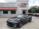 Used 2019 Ford Mustang Premium w/ Equipment Group 201A image 2