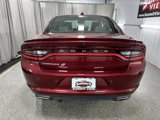 Used 2020 Dodge Charger SXT w/ Plus Group image 5