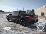 New 2025 Ford F150 XLT w/ Equipment Group 302A MID image 3