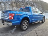 Used 2019 Ford F150 XLT w/ Equipment Group 302A Luxury image 5