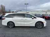 New 2025 Honda Odyssey Elite image 2