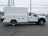 New 2025 Ford F550 4x4 Regular Cab Super Duty image 3