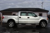 Used 2014 Ford F150 STX w/ Equipment Group 201A Mid image 3