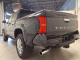 New 2025 Toyota Tacoma Limited image 6