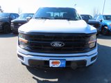 New 2025 Ford F150 XLT w/ Equipment Group 302A MID image 2