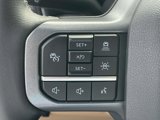 New 2025 Ford F250 4x4 Crew Cab Super Duty image 5