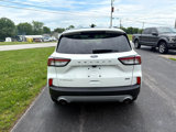 Used 2020 Ford Escape Titanium image 3