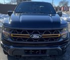 New 2025 Ford F150 Tremor w/ Equipment Group 402A High image 2