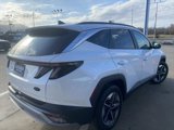 New 2025 Hyundai Tucson SEL image 5