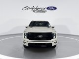 New 2025 Ford F150 Platinum image 2