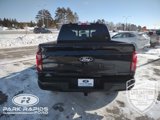 New 2025 Ford F150 XLT w/ Equipment Group 302A MID image 4