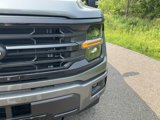 New 2025 Ford F150 XLT image 2