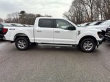 New 2025 Ford F150 XLT w/ Equipment Group 301A Standard image 5