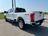 Used 2024 Ford F250 XLT image 4