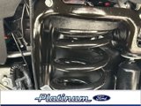 New 2025 Ford F250 Platinum image 4
