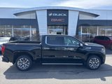 New 2025 GMC Sierra 1500 Denali w/ Denali Reserve Package image 3