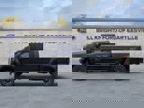 New 2025 Ford F250 Platinum image 4