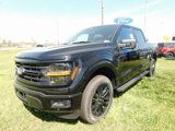 New 2025 Ford F150 XLT w/ Equipment Group 302A MID image 3