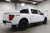 New 2025 Ford F150 XLT w/ Equipment Group 302A MID image 6