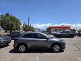 Used 2024 Ford Escape Active image 3