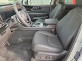 New 2025 Kia Carnival SX Prestige image 4