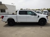 New 2025 Ford F150 XLT image 5