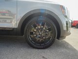 Used 2022 Kia Telluride SX w/ SX Prestige Package image 5