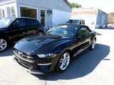 Used 2021 Ford Mustang Premium w/ Equipment Group 201A image 2