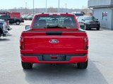 New 2025 Ford F150 XL w/ Equipment Group 103A High image 5