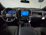 New 2025 Ford F150 STX w/ Equipment Group 201A FX4 image 3