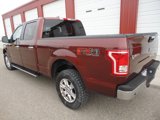 Used 2016 Ford F150 XLT w/ Equipment Group 302A Luxury image 2