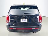 New 2025 Hyundai Palisade Calligraphy image 6