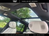New 2026 Cadillac Vistiq Sport image 5