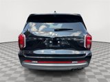 Used 2023 Hyundai Palisade Calligraphy image 3