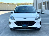 Used 2020 Ford Escape SE image 2