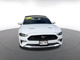 Used 2023 Ford Mustang Premium image 4