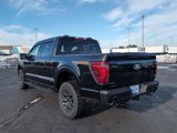 New 2025 Ford F150 Tremor image 4