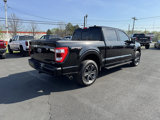 Used 2023 Ford F150 Lariat image 3