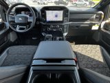 New 2025 Ford F150 Tremor w/ Bed Utility Package image 5
