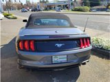 Used 2021 Ford Mustang Premium image 3