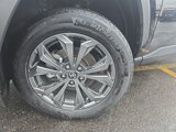 Certified 2024 Toyota RAV4 XLE Premium image 2
