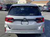 New 2025 Honda Odyssey Elite image 6