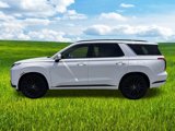 New 2025 Hyundai Palisade Calligraphy image 3