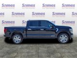 New 2025 Ford F150 Platinum w/ Equipment Group 703A Plus image 3