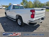 Used 2024 Chevrolet Silverado 1500 W/T w/ WT Fleet Convenience Package image 5