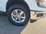 New 2025 Ford F150 XLT w/ Equipment Group 302A MID image 2