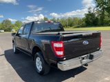 Used 2021 Ford F150 XL w/ Equipment Group 101A High image 5