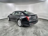 Certified 2025 Cadillac CT5 Premium Luxury w/ Platinum Package image 6